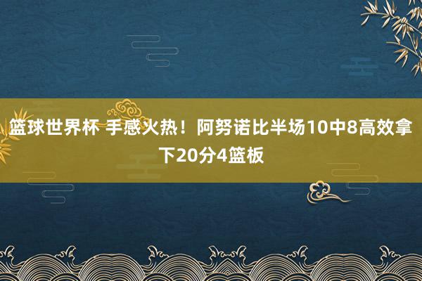 篮球世界杯 手感火热！阿努诺比半场10中8高效拿下20分4篮板