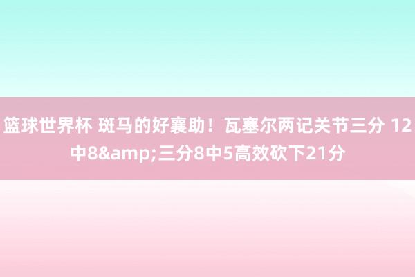 篮球世界杯 斑马的好襄助！瓦塞尔两记关节三分 12中8&三分8中5高效砍下21分