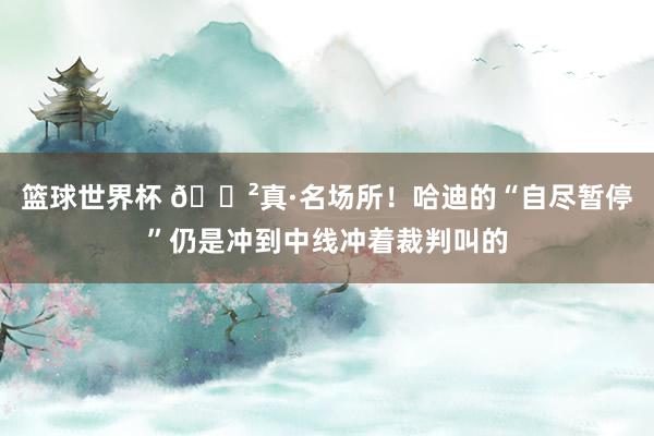 篮球世界杯 😲真·名场所！哈迪的“自尽暂停”仍是冲到中线冲着裁判叫的