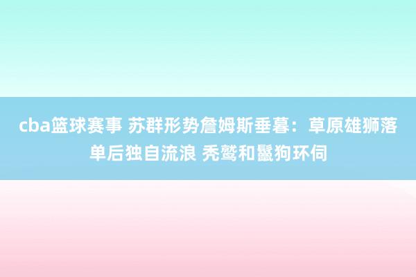 cba篮球赛事 苏群形势詹姆斯垂暮：草原雄狮落单后独自流浪 秃鹫和鬣狗环伺